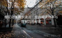 樱花动漫两步读法：提升阅读效率与理解力的秘密