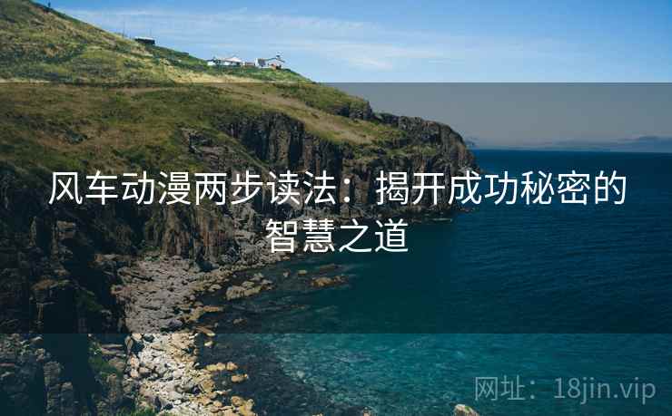 风车动漫两步读法：揭开成功秘密的智慧之道